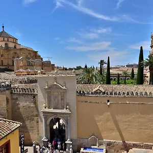 https://el-balcon-de-la-mezquita-cordoba.es-andalucia.com